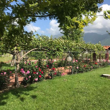 ホテル Alma Migrante Bed&Wine Telese エクステリア 写真