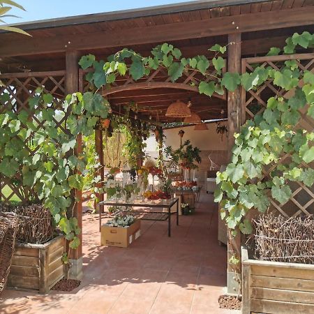 ホテル Alma Migrante Bed&Wine Telese エクステリア 写真