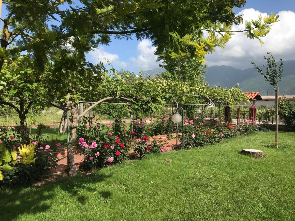 ホテル Alma Migrante Bed&Wine Telese エクステリア 写真
