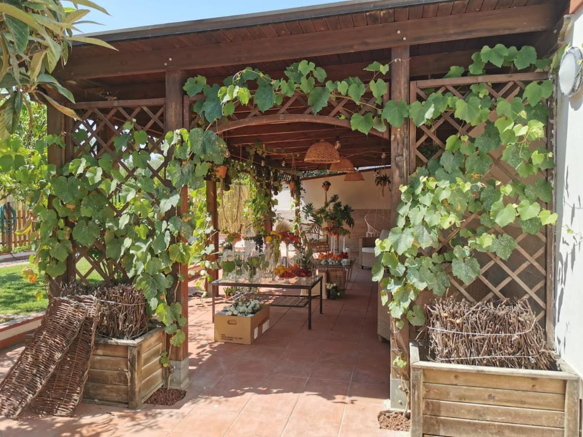 ホテル Alma Migrante Bed&Wine Telese エクステリア 写真